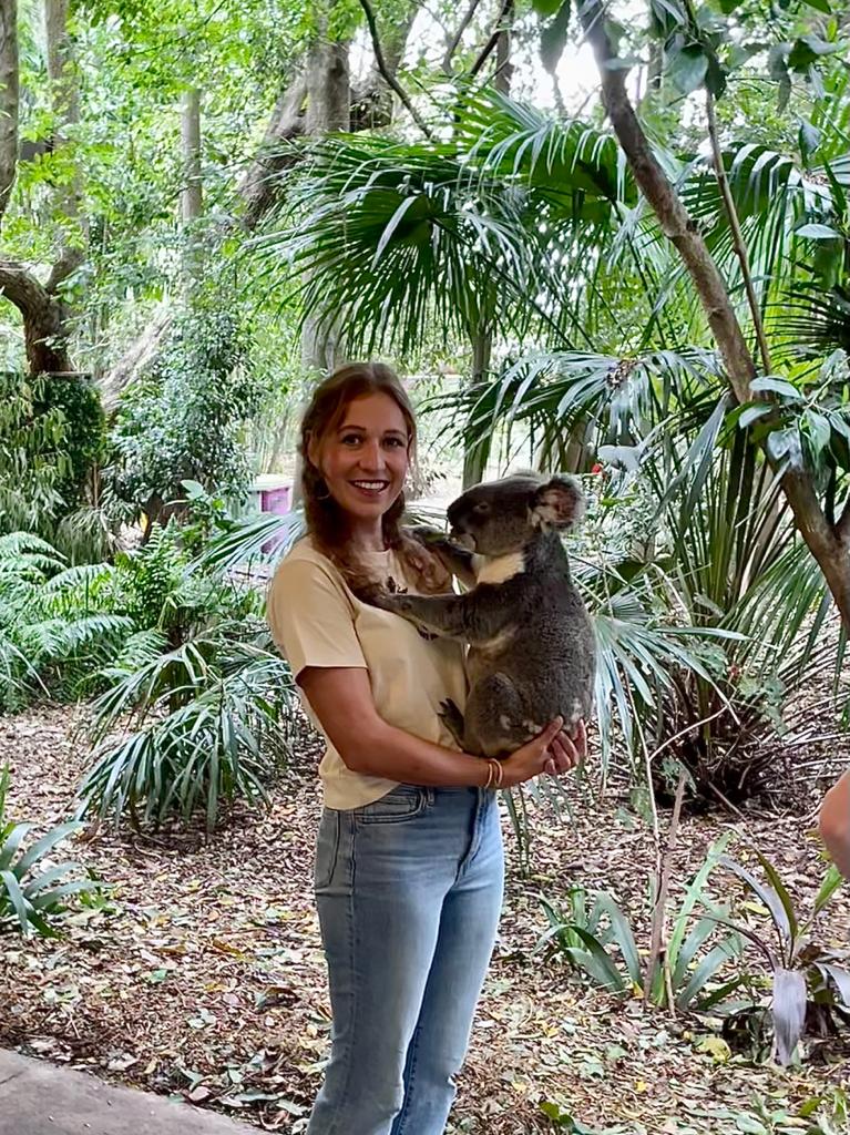 Koala at Koala Sanctuary